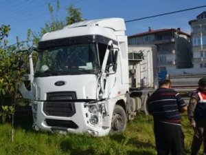 Kontrolden çıkan tır bahçeye girdi