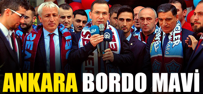 Ankara Bordo Mavi